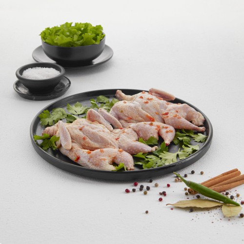 PAIR OF PIGEONS READY TO GRILL